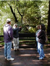 MuirWoodsLecture.jpg (14471 bytes)